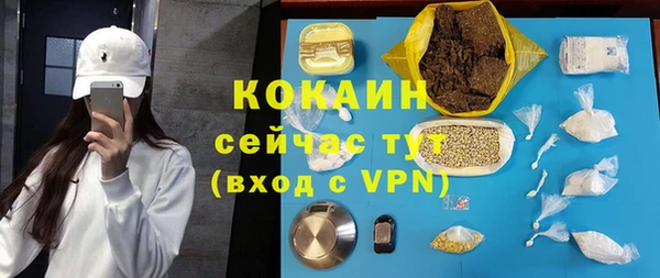 МДПВ Михайлов