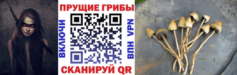 цены наркотик  Янаул  Галлюциногенные грибы Magic Shrooms 