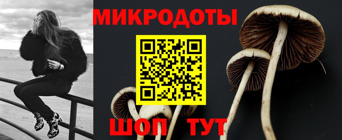 Псилоцибиновые грибы Psilocybine cubensis Янаул